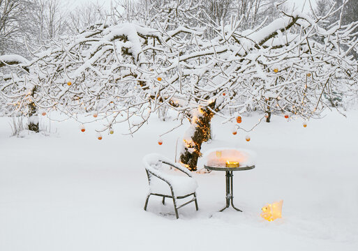 Snow covering apple tree in home garden in winter, decorated with lot of orange metallic Christmas baubles and warm white string led lights illuminated. Table with chair, wine glass and outdoor candle