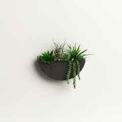 3d illustration  wall potted plant isolated on white background