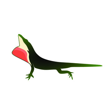 green anole lizard silhouette logo or icon