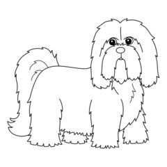 Lhasa Apso Dog Coloring Page Isolated for Kids