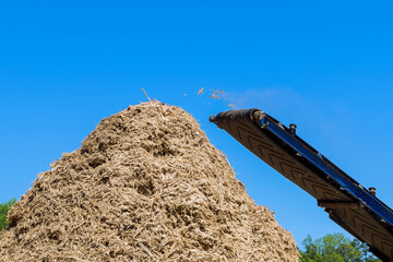 An industrial wood chipper at work with roots for grinding machine to become chip
