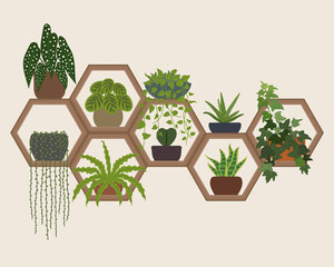 Hexagon Wall Shelves Indoor Plants Decoration