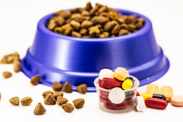 veterinary pills or medication, supplements or vitamins for pets, with pet food in the background, with copyspace