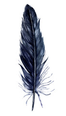 Watercolor Crow Black Feather Isolated on White Background. Hand Drawn Dark Gothic Wedding Decoration. Halloween Botanical Illustration in Vintage Style.