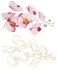 Hand painted and Golden Outlines tropical orchid flowers isolated element illustration