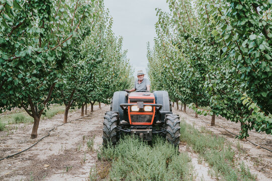 Elderly man driving tractor on farm