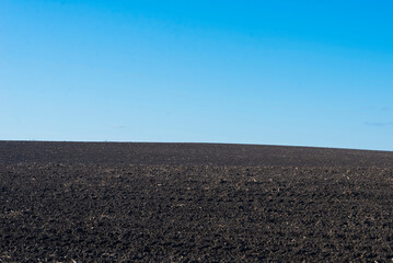 Ploughed field and blue sky as background.