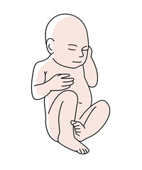 Newborn baby clipart. Embryo, fetus vector illustration. New baby line vector art, female line drawing. Newborn silhouette. Baby shower illustration. Cute sleeping baby
