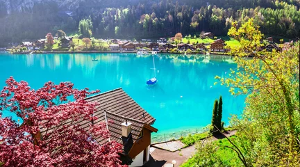 Foto auf Glas Stunning idylic nature scenery of mountain lake Brienz . Switzerland, Bern canton. Iseltwald village surrounded turquoise waters © Freesurf