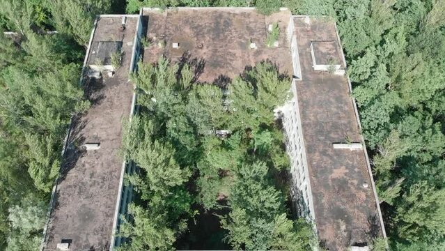 overgrown school yard in the city of pripyat