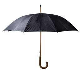 Black Wet Umbrella with Wood Handle on Transparent Background - obrazy, fototapety, plakaty