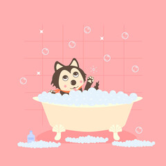 Dog in bath. Vector Illustration fot grooming salon, pet shop. Dog swimming