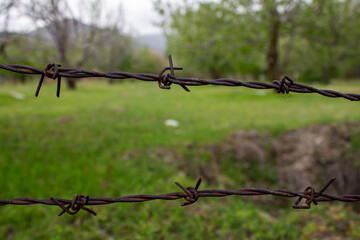 Barbed wire fence in the garden.