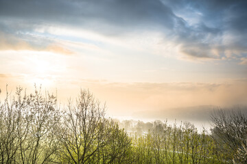 Beautiful lake landscape