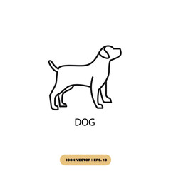 dog icons  symbol vector elements for infographic web