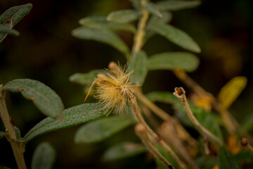 USHUAIA TIERRA DEL FUEGO NATURALEZA 
