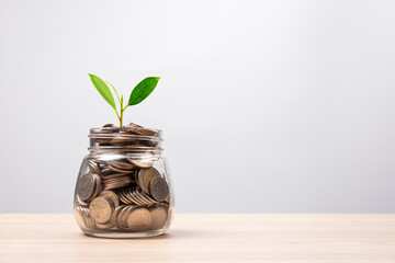 Money coins in glass jar and green plant with copy space on table. Investment and interest concept - Powered by Adobe