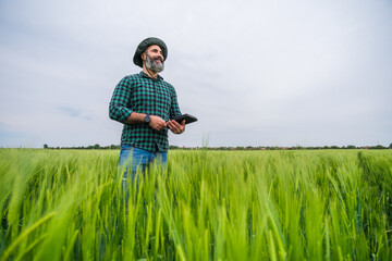 Naklejka na ściany i meble Happy farmer using digital tablet while standing in his growing wheat field.