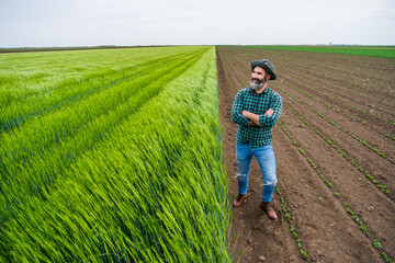 Naklejka na ściany i meble Happy farmer is standing beside his growing wheat field.