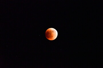 Blood Moon