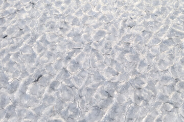 abstract texture of broken ice and dark water. background of the frozen surface of a clean lake or river