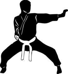 karate vector illustration pose logo