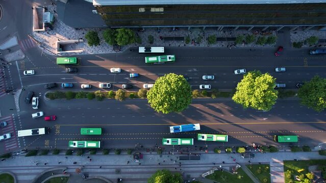 Buses on the bus lane