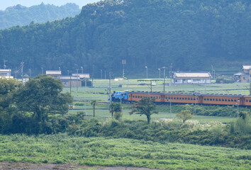 大井川鉄道トーマス号