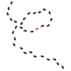 Silhouette Black Ant Road Trail. Vector