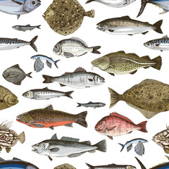 Hand drawn seamless pattern with different types of edible sea fishes. Vector illustration
