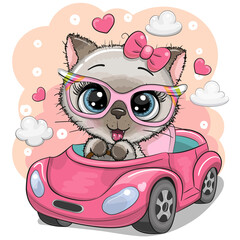 Siamese Kitten Girl goes on a pink car