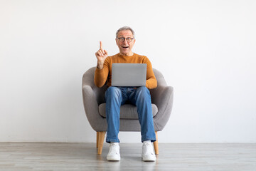 Portrait of mature man using laptop sitting on armchair