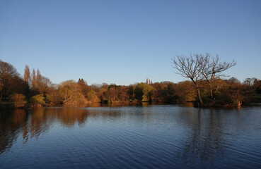 A beautiful scenic view of Lake Meadows park in Billericay, Essex, UK. 