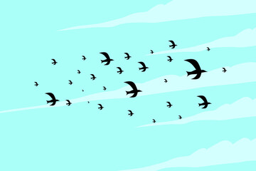 A flock of birds. Seagull. Seagulls flying in the sky