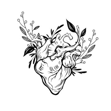 Anatomical wooden heart illustration with florals and branches. Abstract romantic sign, nature love concept. Line art, print, tattoo sketch.