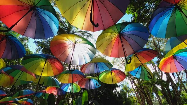 Symbolic rainbow umbrellas suspended in a rainforest and illuminated by the sun.
