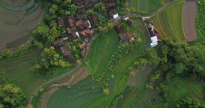 rice fields in Magelang, Central Java, Indonesia. Rural aerial drone view of the countryside in Indonesia. Residential snippet