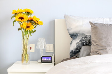 Beautiful yellow sunflowers (Helianthus) in a cylindrical glass vase on bedside table freshening up elegant and stylish modern bedroom design with white, blue and grey hues. 14:45 on the digital clock