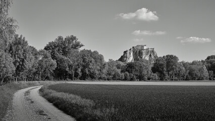 Fototapeta premium The ruins of the castle Devin from the period of Great Moravia on a high rock in black and white, Slovakia