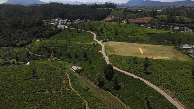 Narrow gray asphalt road with multiple forks meanders between the hilly landscape with many green tea plantation fields in Ella in Nuwara Sri Lanka on a partly cloudy day. Aerial drone lifting shot