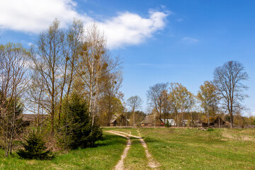 Fototapeta na wymiar Piękno wiosennego krajobrazu Podlasia, Polska