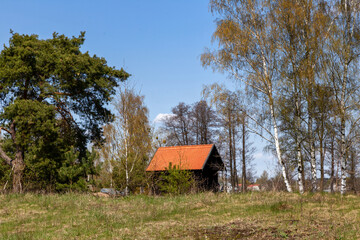 Piękno wiosennego krajobrazu Podlasia, Polska © podlaski49
