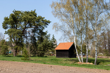 Piękno wiosennego krajobrazu Podlasia, Polska © podlaski49