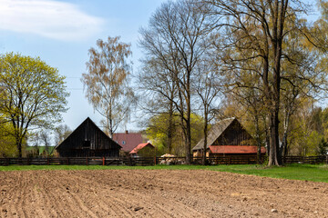 Piękno wiosennego krajobrazu Podlasia, Polska © podlaski49