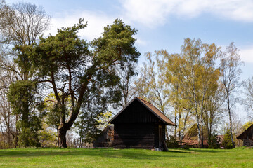 Piękno wiosennego krajobrazu Podlasia, Polska © podlaski49