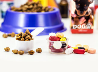 veterinary pills or medication, supplements or vitamins for pets, with pet food in the background, with copyspace