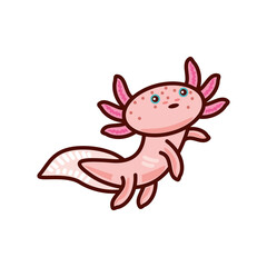 Fototapeta premium axolotl exotic animal