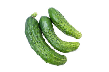 Three ripe green cucumbersisolate on a white background, top view