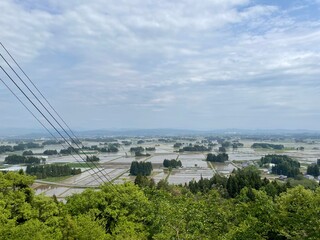 bridge over the river