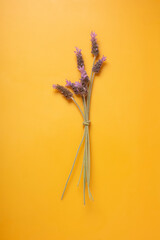 Ramo de flor lavanda sobre fondo naranja, primaveral o de verano, recuerda a campo y aire libre,...